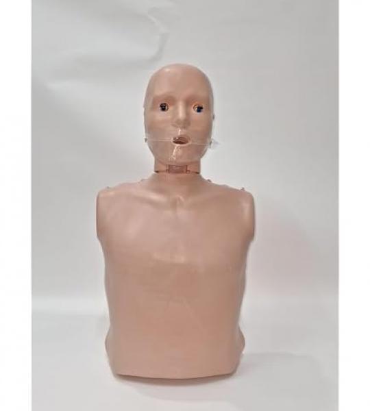 BLS (Basic Life Support) CPR