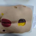 ARTSY Nursing Trainer for Decubitus
