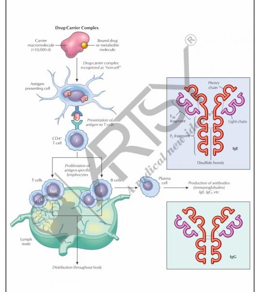 Pharmacology