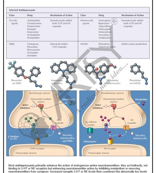 Pharmacology