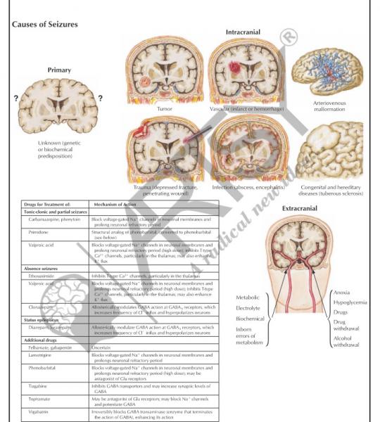 Pharmacology
