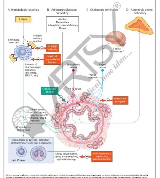 Pharmacology