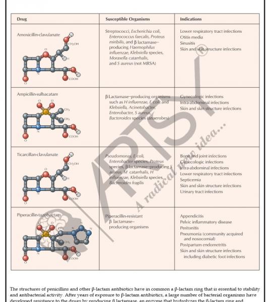 Pharmacology
