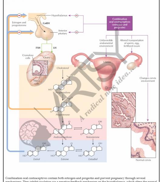 Pharmacology