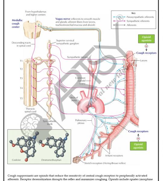 Pharmacology