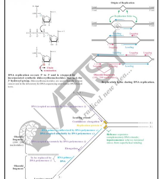 Bio Chemistry Chart
