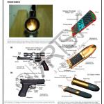 FMT Forensic Chart
