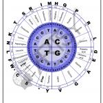 Bio Chemistry Chart