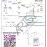 Bio Chemistry Chart