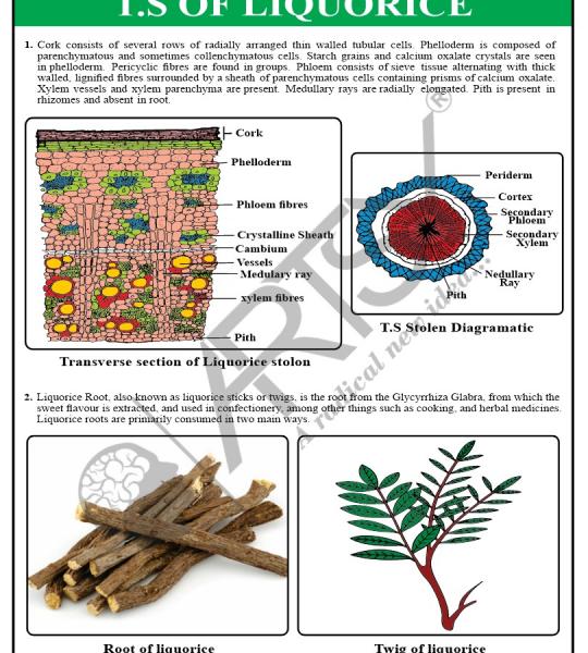 Pharmacognosy Charts