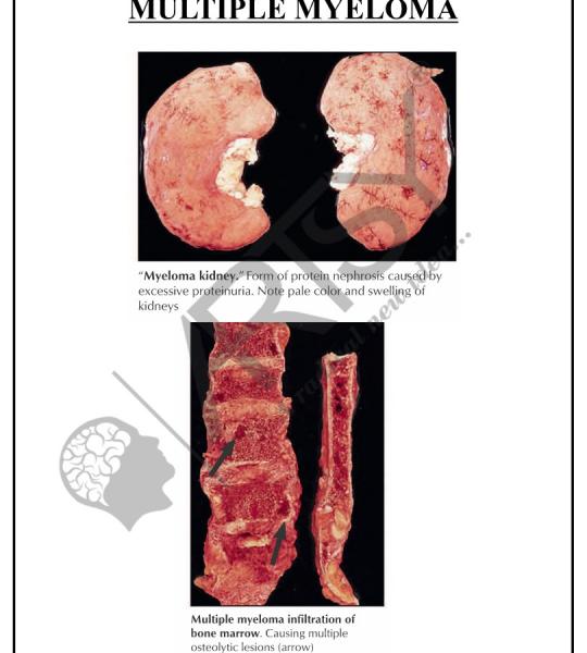 Pathology Charts