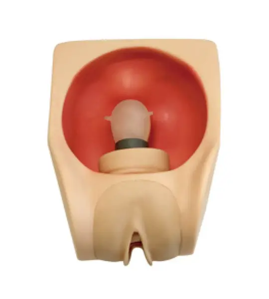 Advanced Female Contraception Practice Simulator