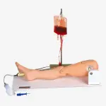 Bone Marrow Puncture & Femoral Venipuncture Simulator
