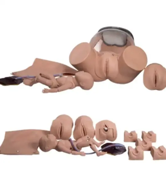 Childbirth Skills Training Simulator (Premium Quality)