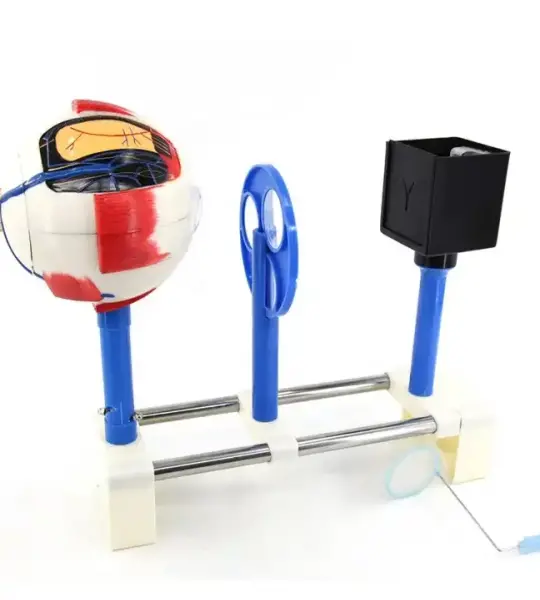 Human Eye Functional Model