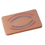 Arterial and Venous Injection Training Pad