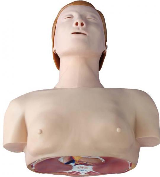 Basic CPR Training Model (Half Body)