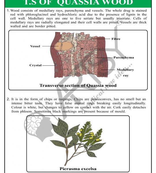 Pharmacognosy Charts