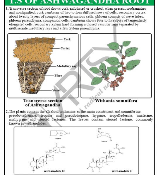 Pharmacognosy Charts