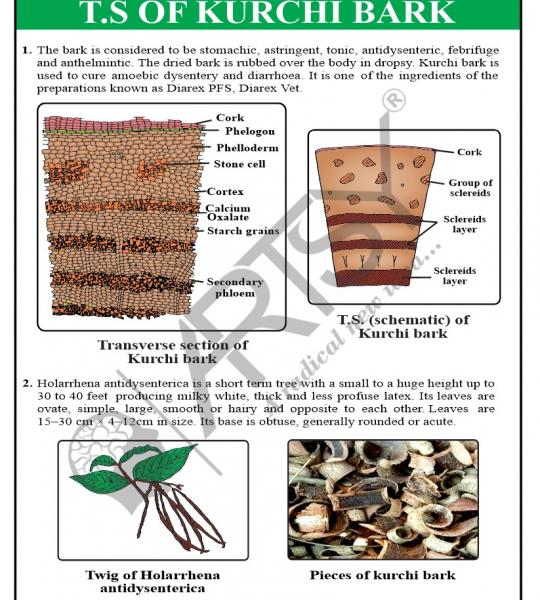 Pharmacognosy Charts