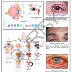 Bio Chemistry Chart