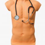 Adult Auscultation Trainer