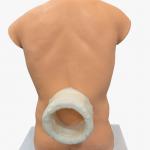 KATI – MANYA – PRUSHTA BASTI TRAINING MANIKIN