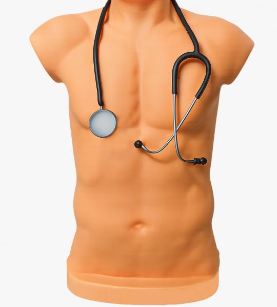 Chest auscultation trainer (Basic) Ideal for Kriya Sharir