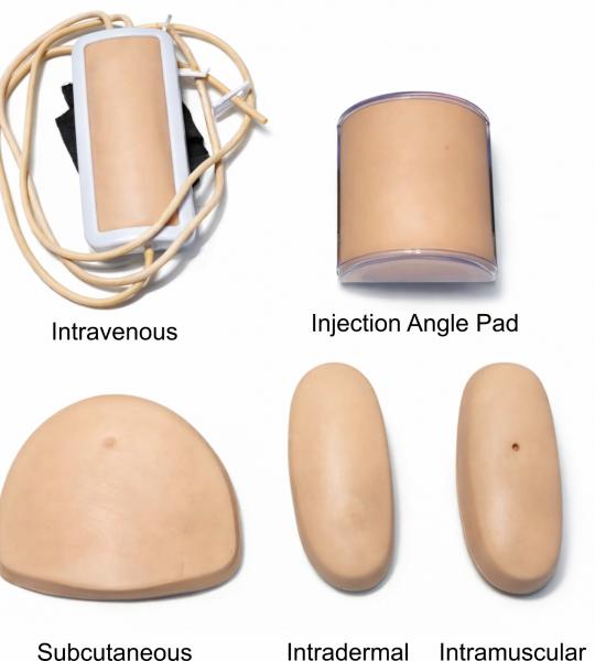 Injections (intra-muscular, intra-venous, intra-dermal, subcutaneous, intraarterial, intra-articular and intra-cardiac)