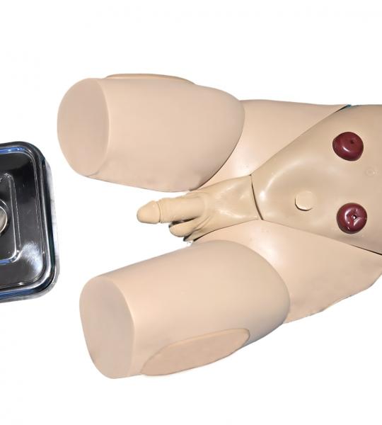 Urinary catheterization – male (same to be used for uttara basti)