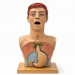 Ryle’s tube insertion trainer