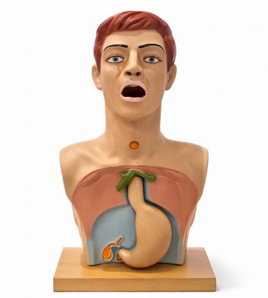 Ryle’s tube insertion trainer