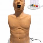 Spirometry Simulator